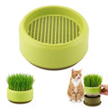 Hydroponic Cat Grass Grow Box I250