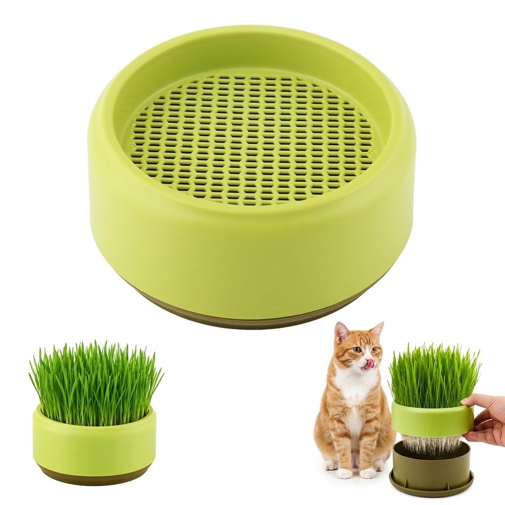 Hydroponic Cat Grass Grow Box I250