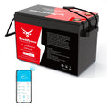 12V 330Ah LiFePO4 Battery with 200A BMS Y1784