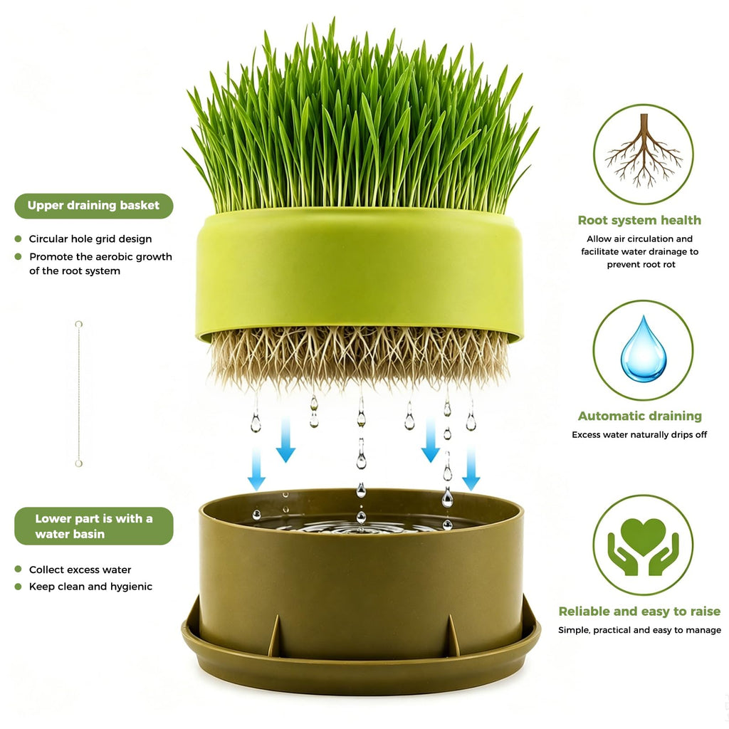 Hydroponic Cat Grass Grow Box I250