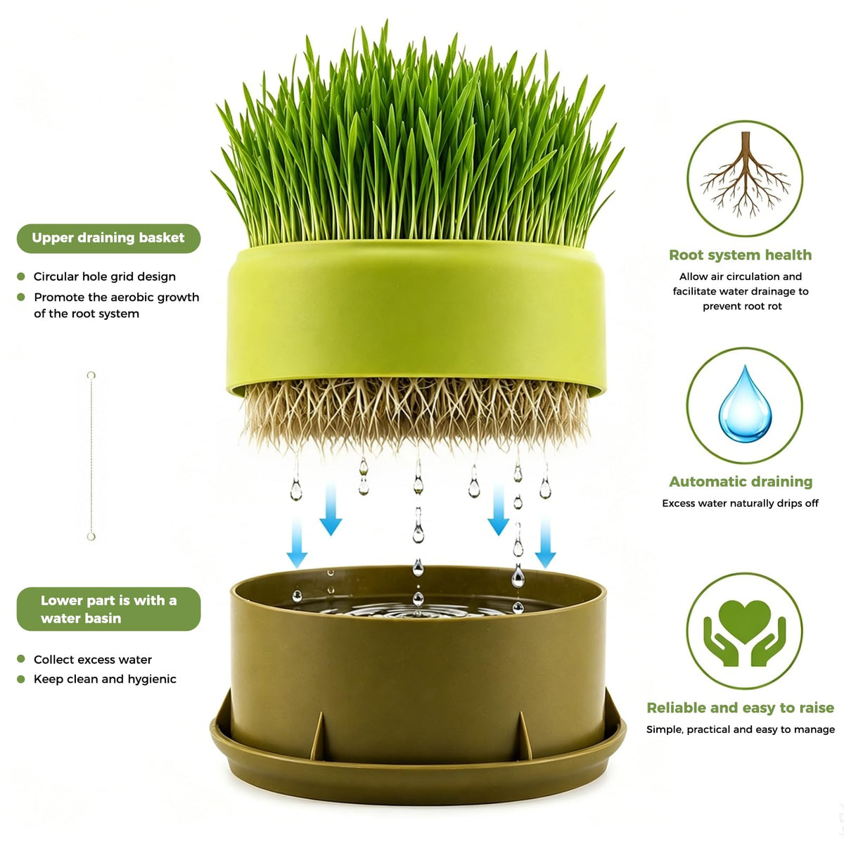Hydroponic Cat Grass Grow Box I250