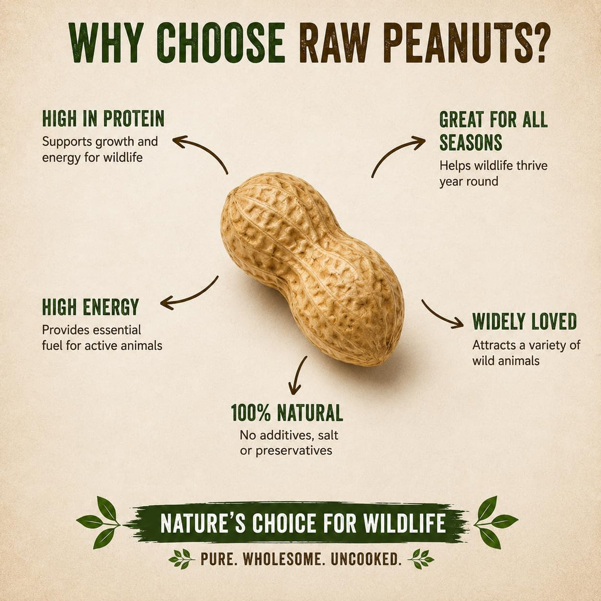Unsalted Raw Peanuts in Shell 5 LB N1480