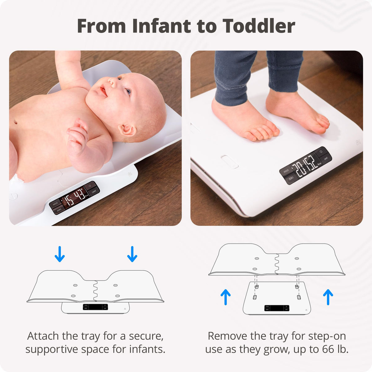Baby Scale 0.1oz Increments W961123