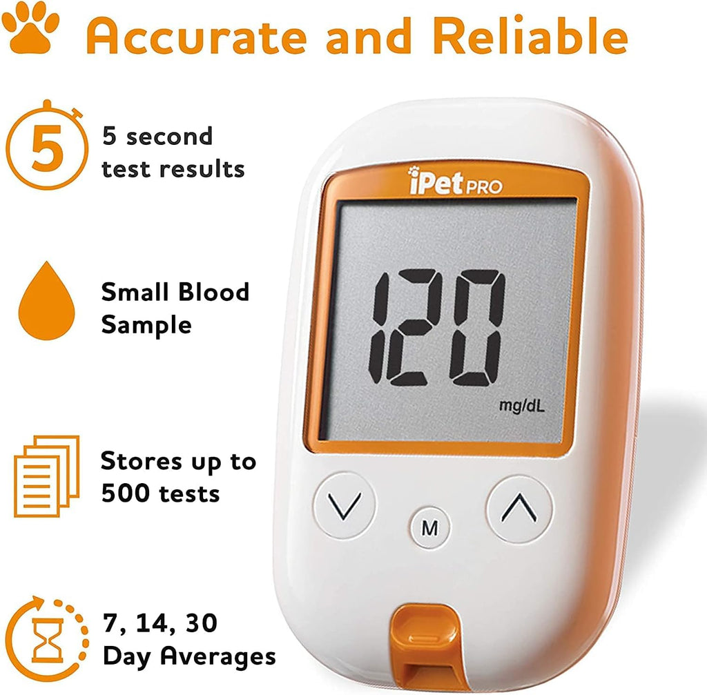 Test Strips and Lancets P84348