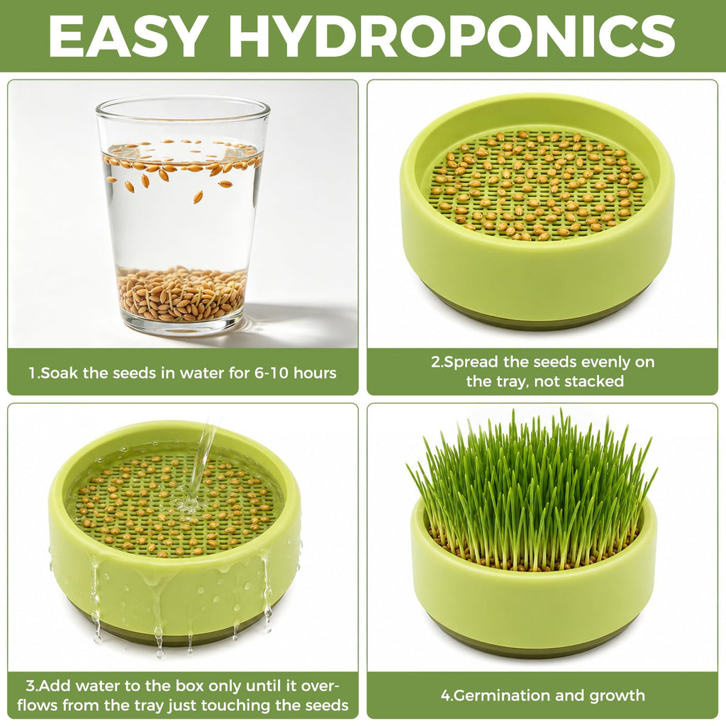 Hydroponic Cat Grass Grow Box I250
