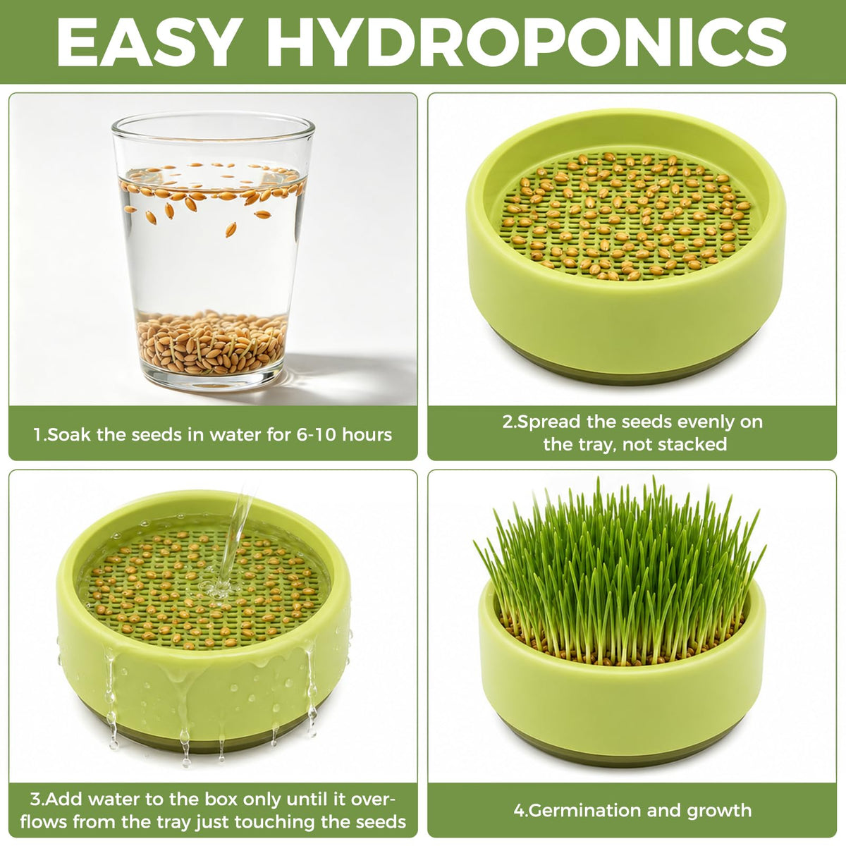 Hydroponic Cat Grass Grow Box I250