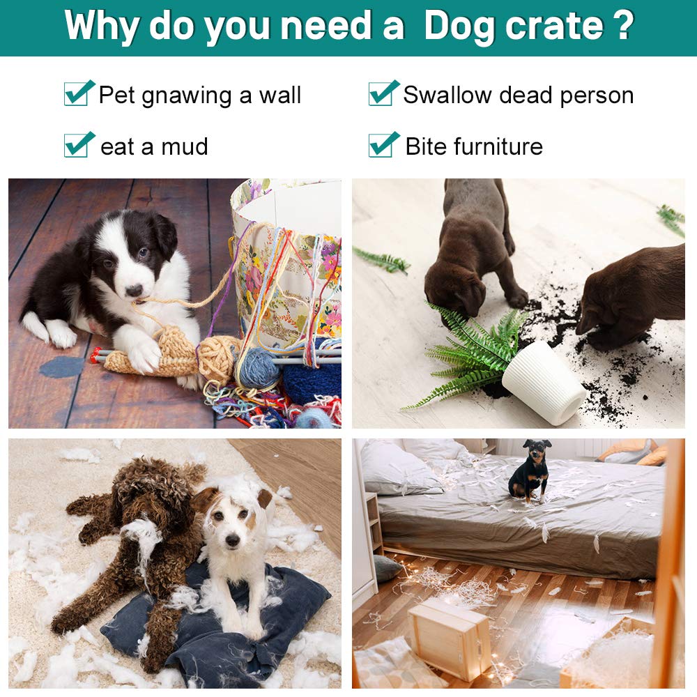42 Inch Metal Wire Double-Door Folding Dog Crate with Tray J5250