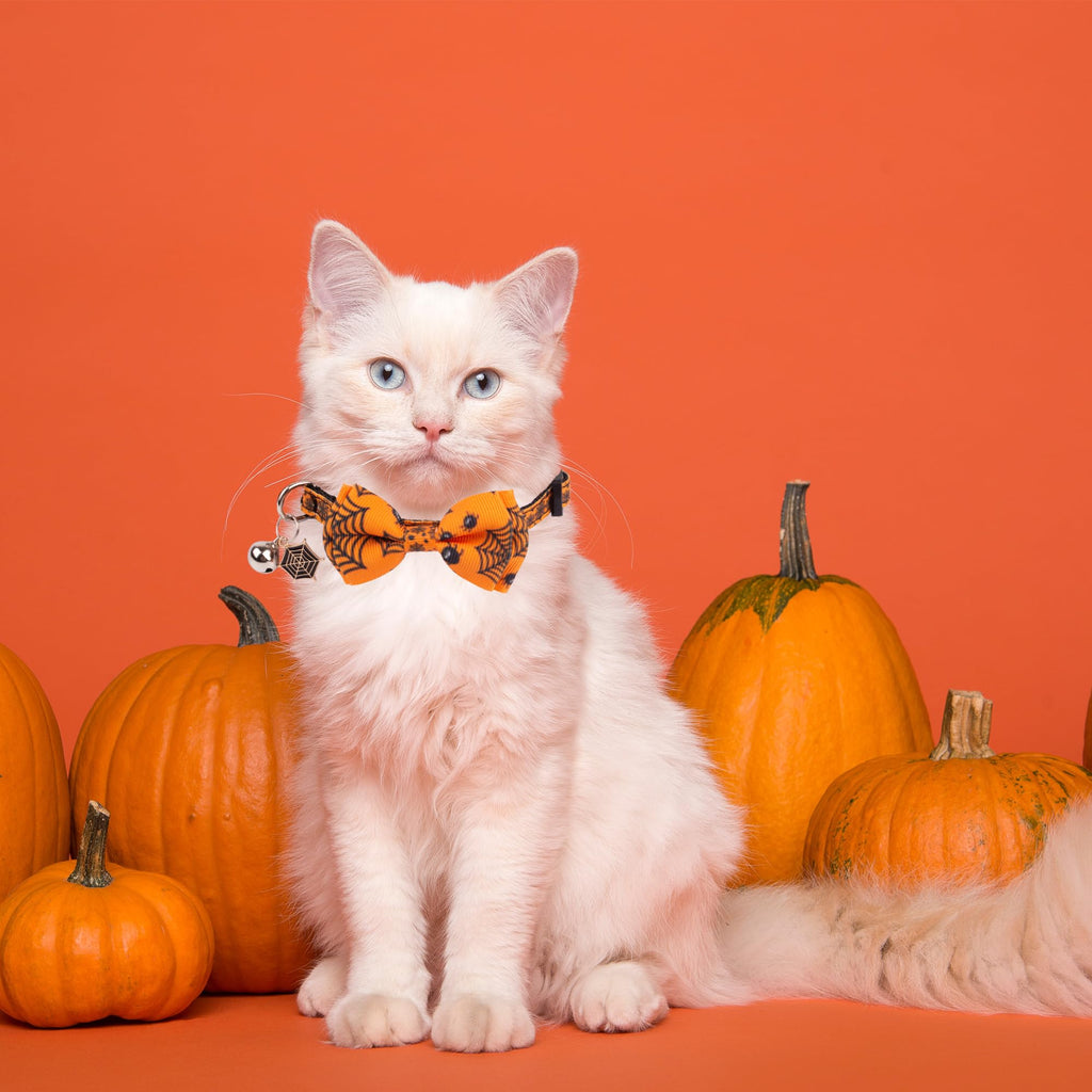 Halloween Cat Collar with Bow Bell I22047