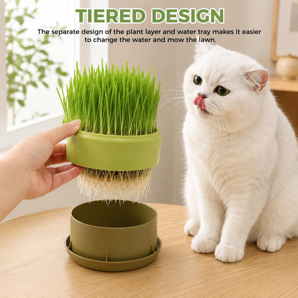 Hydroponic Cat Grass Grow Box I250