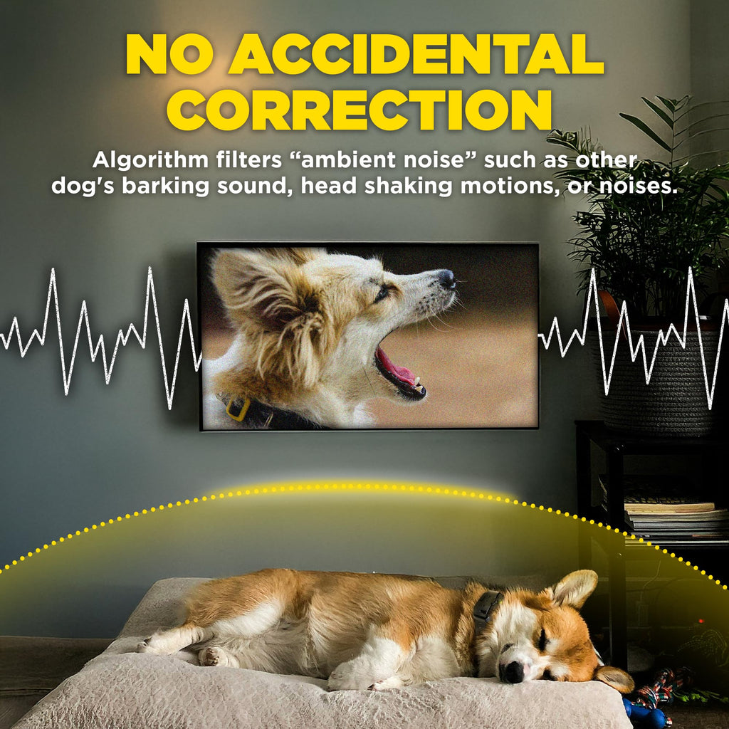 Waterproof E-Collar for 10 lb Dogs L537950