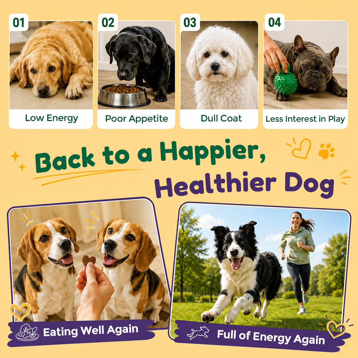 Dog Liver Supplement, Milk Thistle & Same, 5B CFU Probiotics, 90 Soft Chews C6548