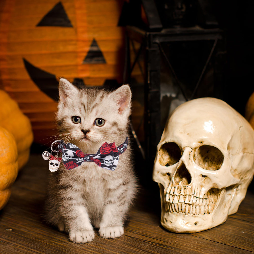 Halloween Cat Collar with Bow Bell I22047