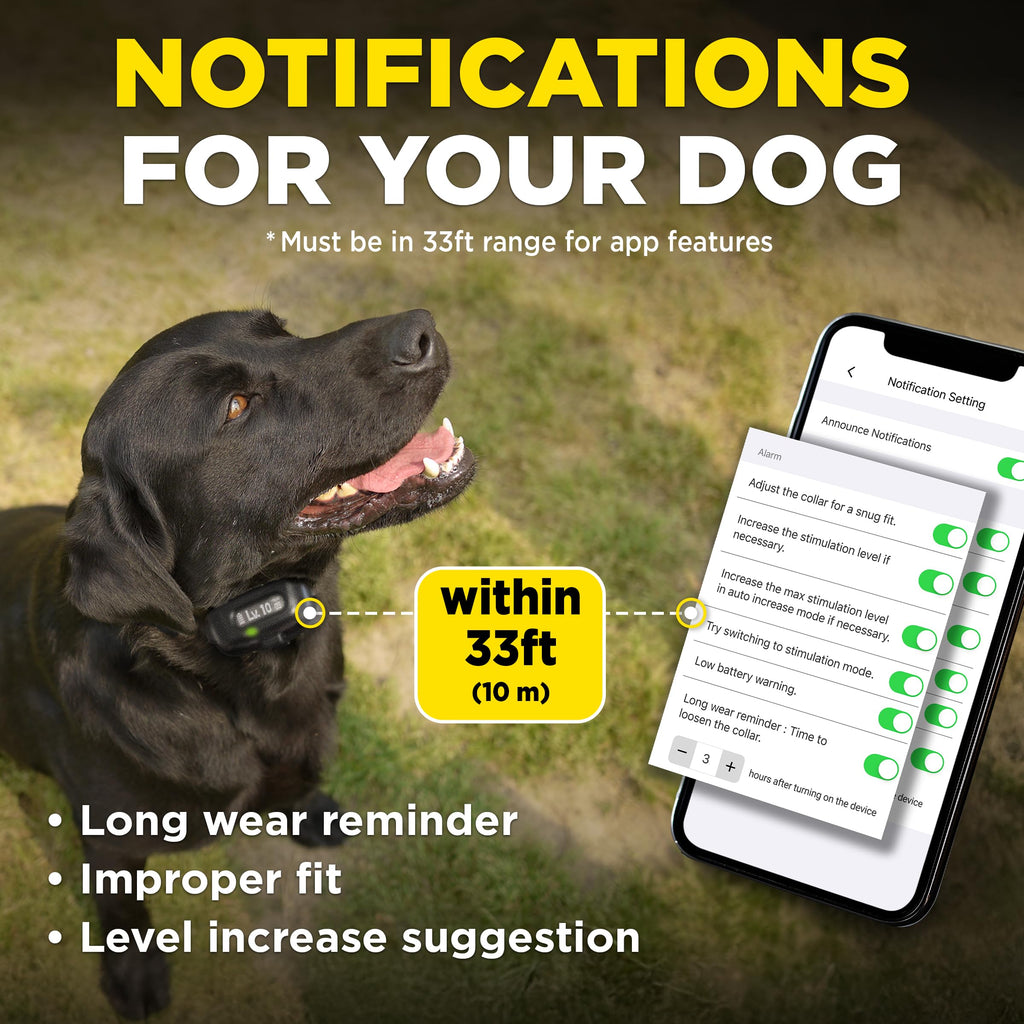 Waterproof E-Collar for 10 lb Dogs L537950