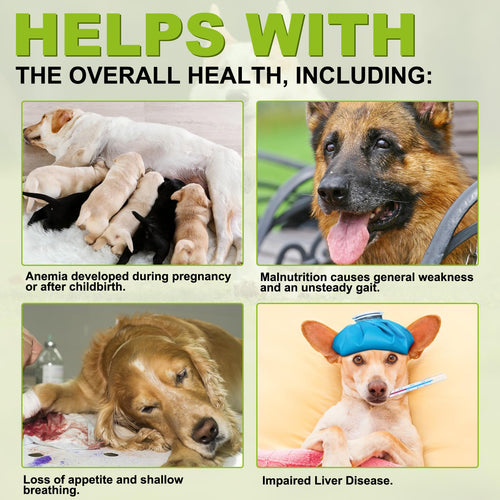 180 Chewable Milk Thistle Tablets for Dogs A269692