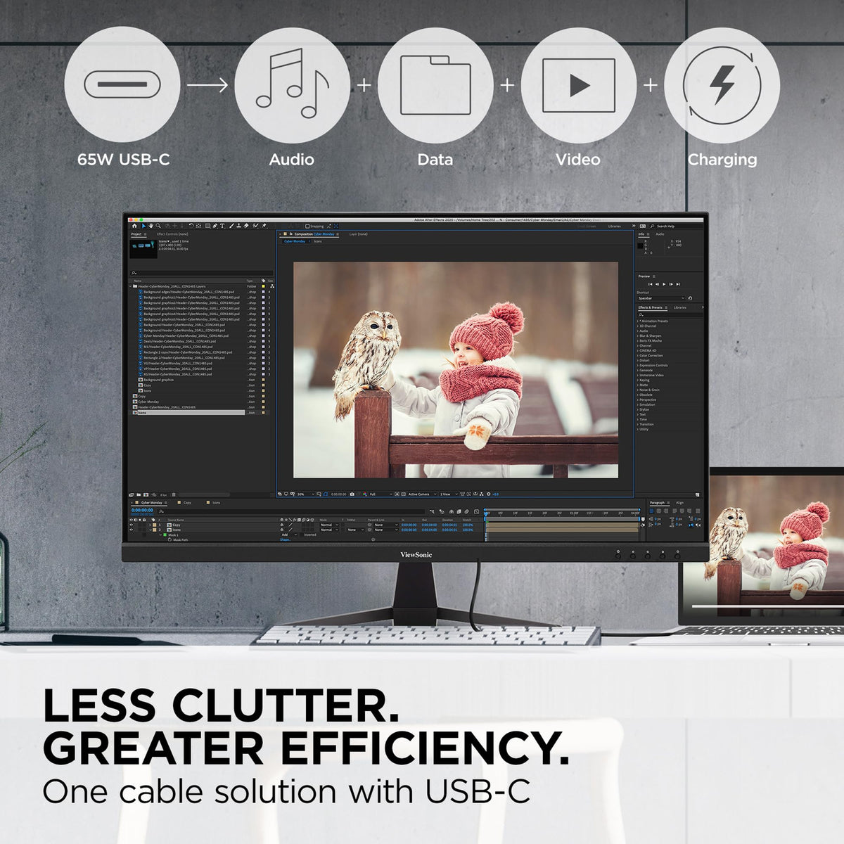 32 Inch 4K UHD IPS Computer Monitor D587