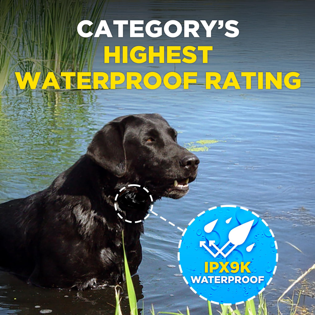 Waterproof E-Collar for 10 lb Dogs L537950