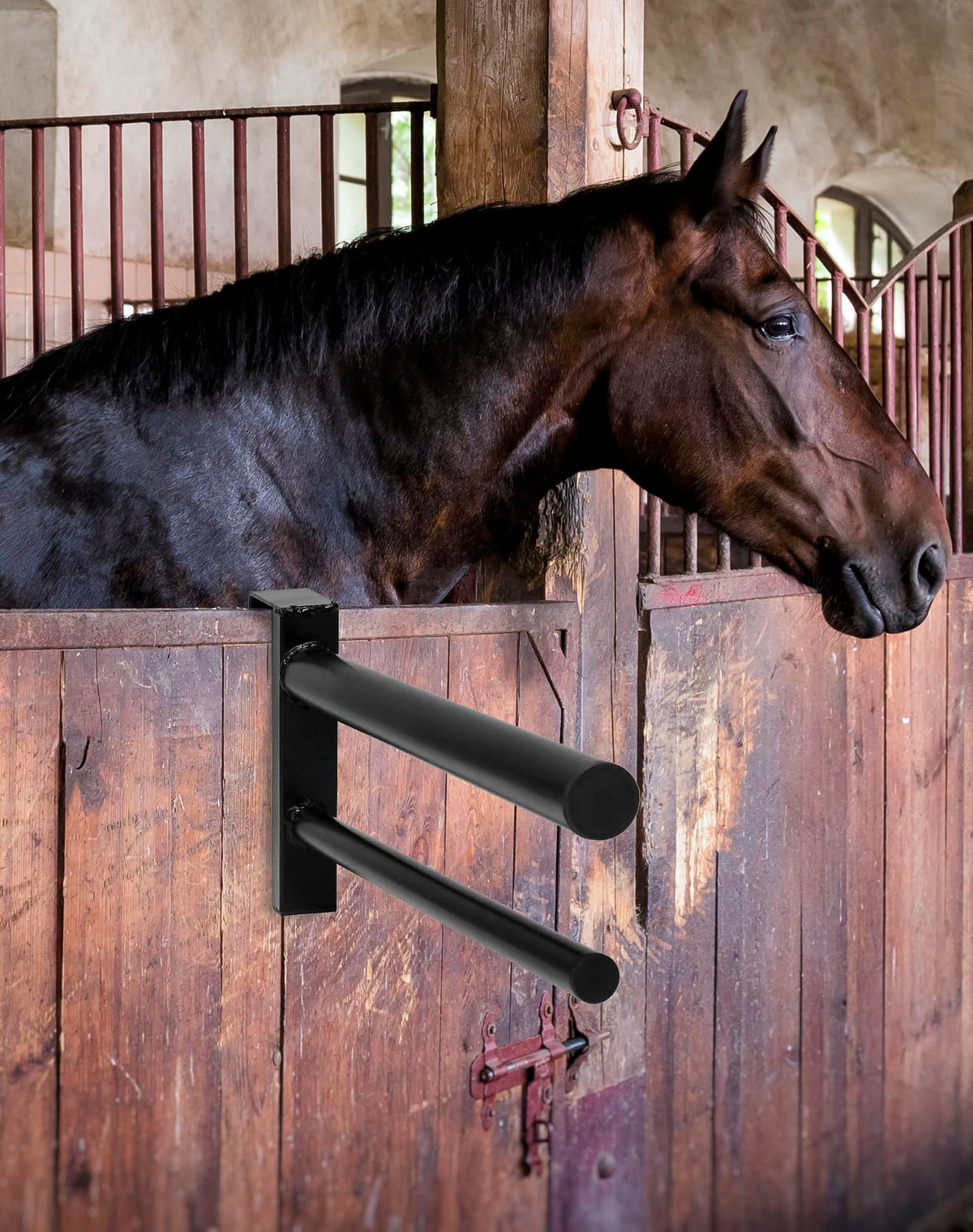 Black PVC Coated Double Saddle Rack P3221