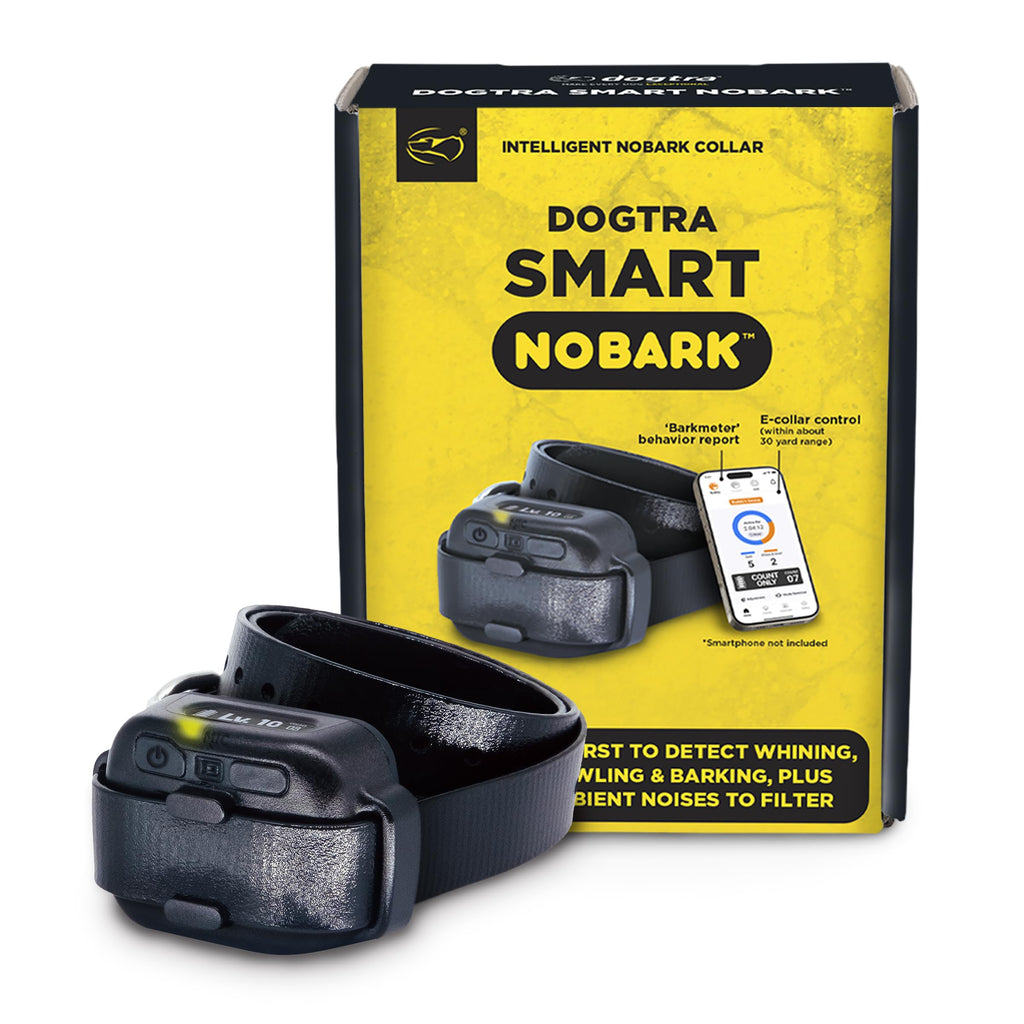 Waterproof E-Collar for 10 lb Dogs L537950