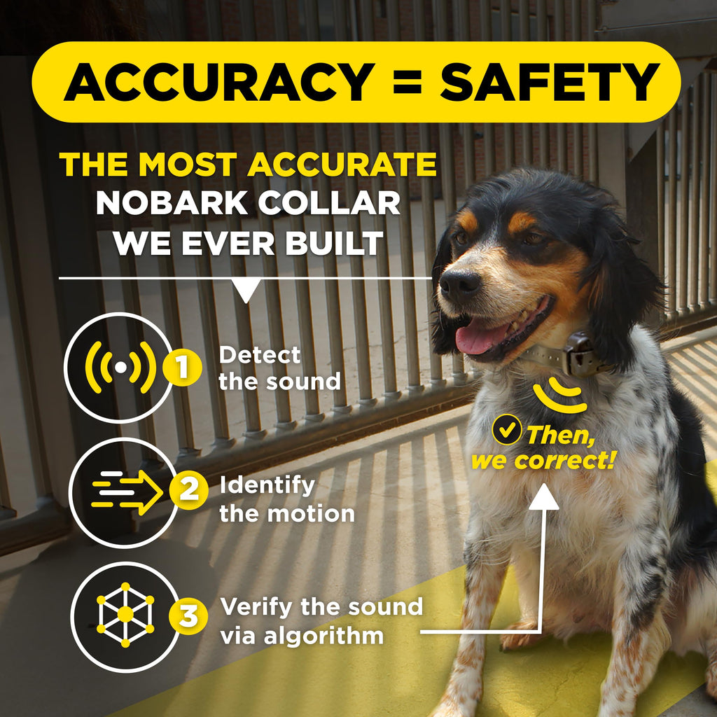 Waterproof E-Collar for 10 lb Dogs L537950