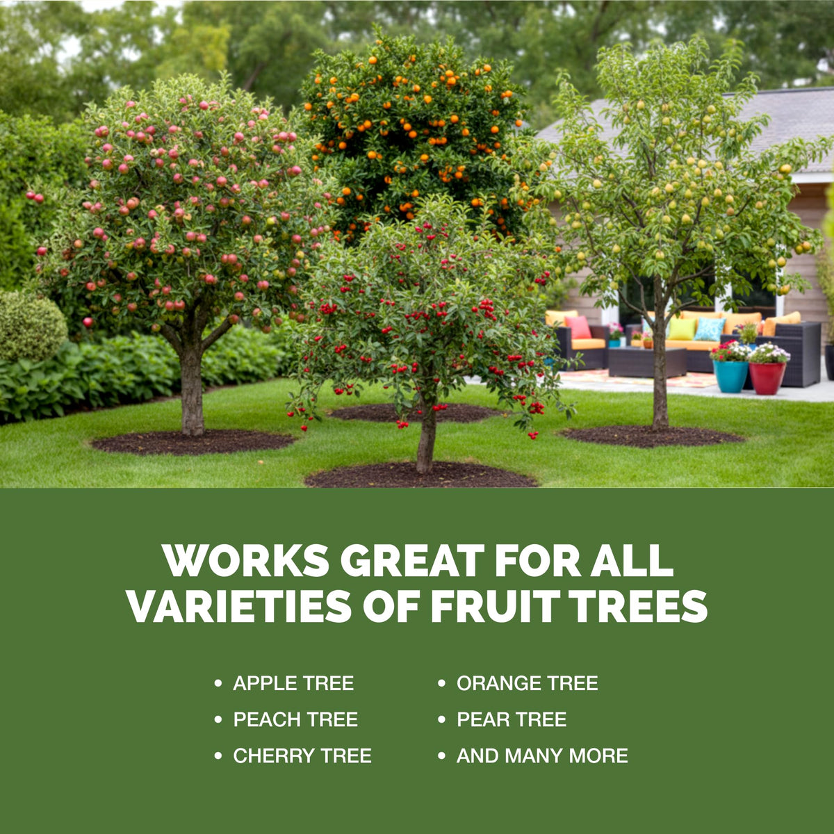 Liquid Fruit Tree Fertilizer 32 oz H468