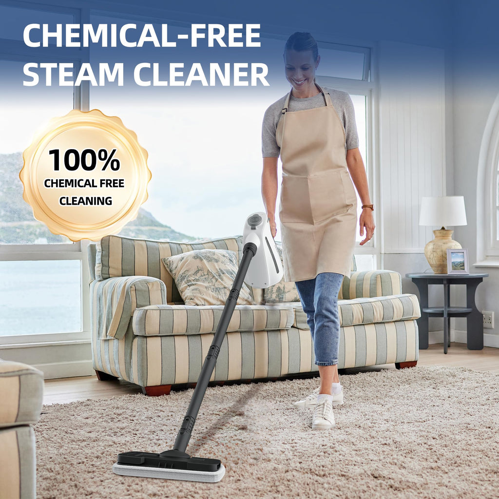 1350W Handheld Steam Cleaner with 15-Pc Accessories & 550ML Tank L582