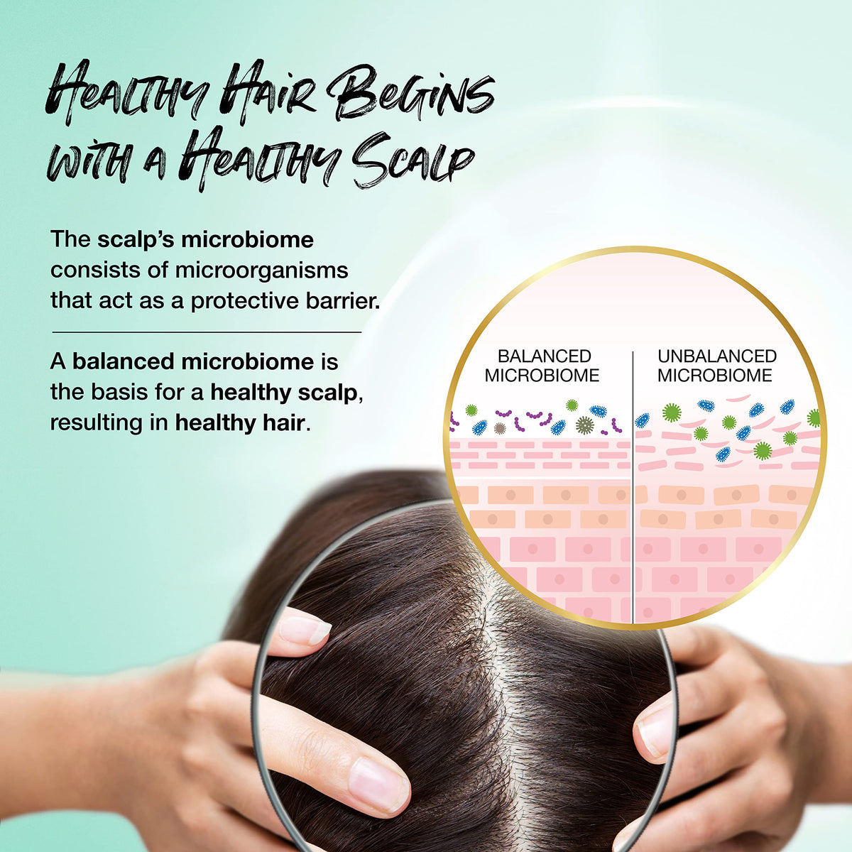 Volumizing Shampoo & Conditioner Set for Fine Hair B245