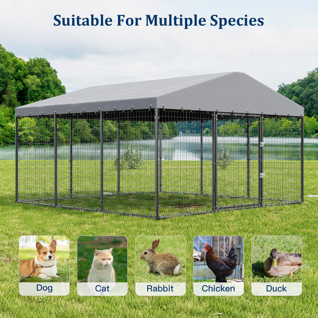 10' x 10' Outdoor Dog Kennel with Roof G677840