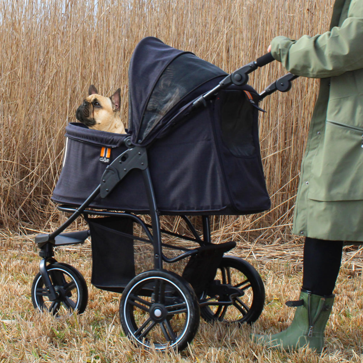 Dog & Pet Buggy, Holds up to 32 kg, Easy Fold E512067